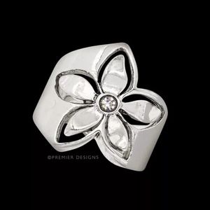 Premier Designs Joy's Inspiration Ring